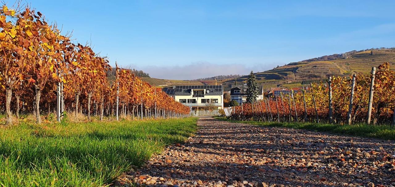 Gaestehaus Casa Luna - Paradiesische Ferienwohnungen Am Kaiserstuhl! Bischoffingen Esterno foto