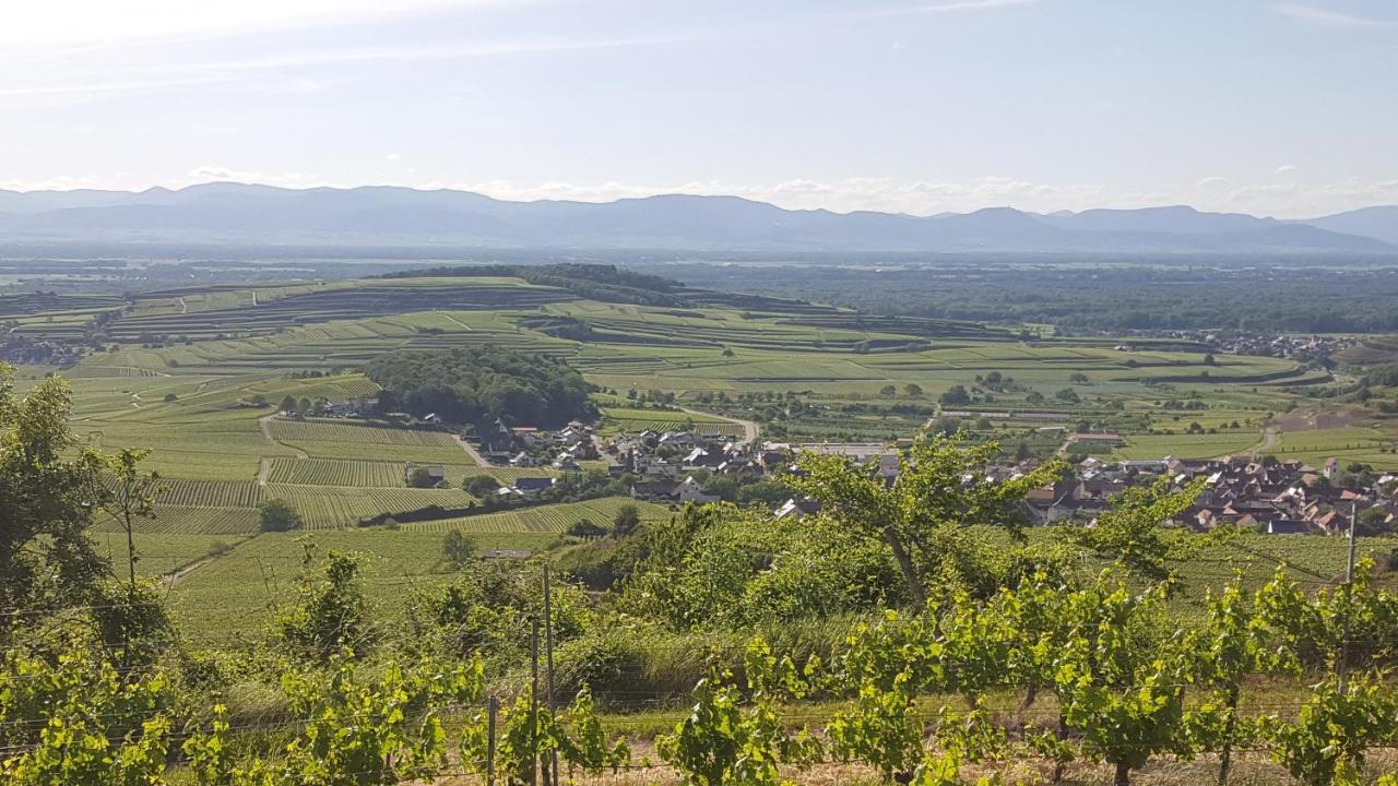 Gaestehaus Casa Luna - Paradiesische Ferienwohnungen Am Kaiserstuhl! Bischoffingen Esterno foto