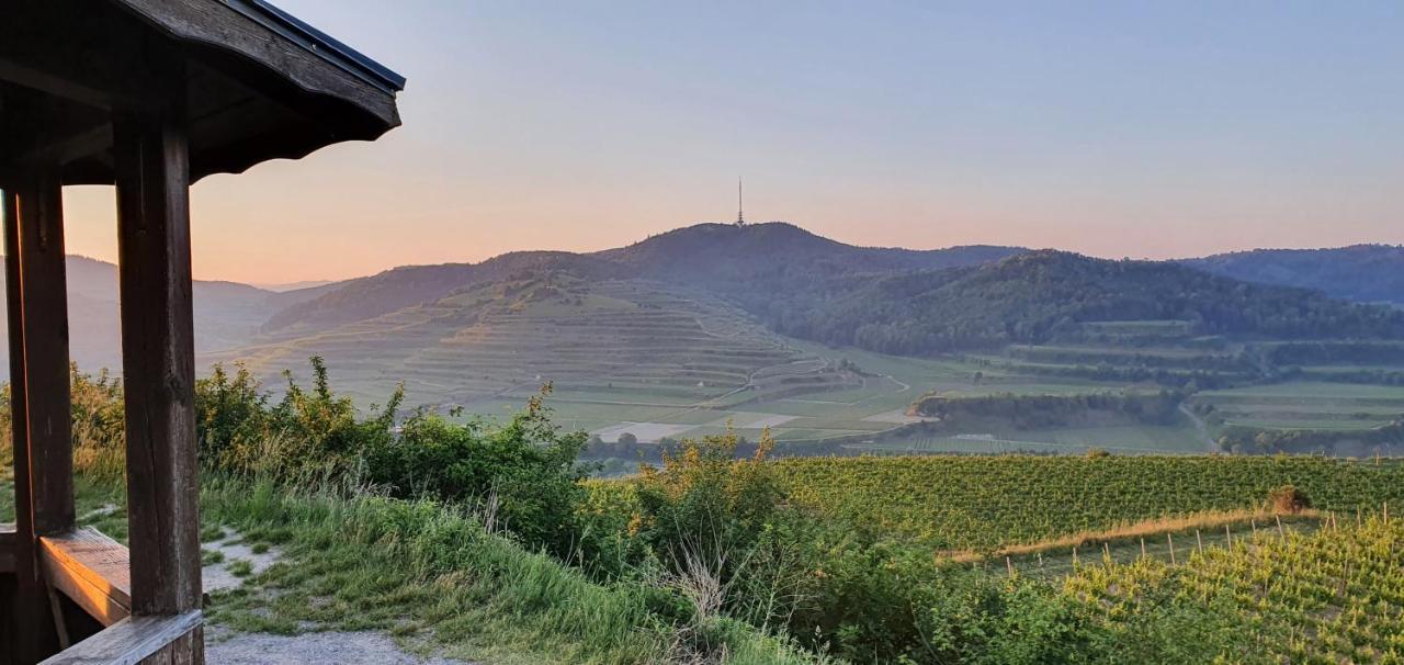 Gaestehaus Casa Luna - Paradiesische Ferienwohnungen Am Kaiserstuhl! Bischoffingen Esterno foto